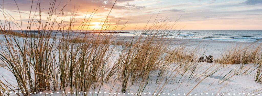 Beach - Sunrise - Landscape